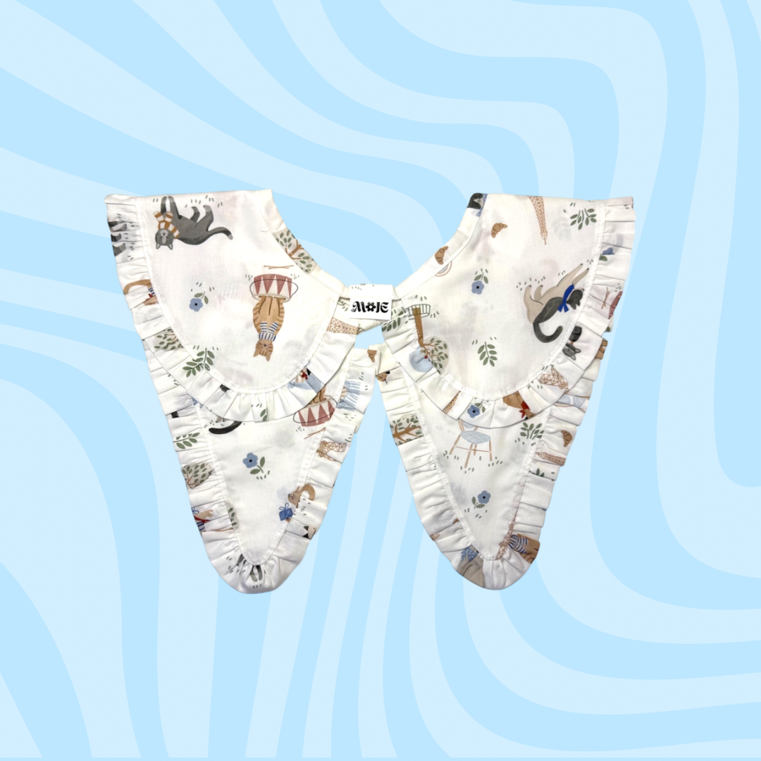 kołnierzyk to moje kotki